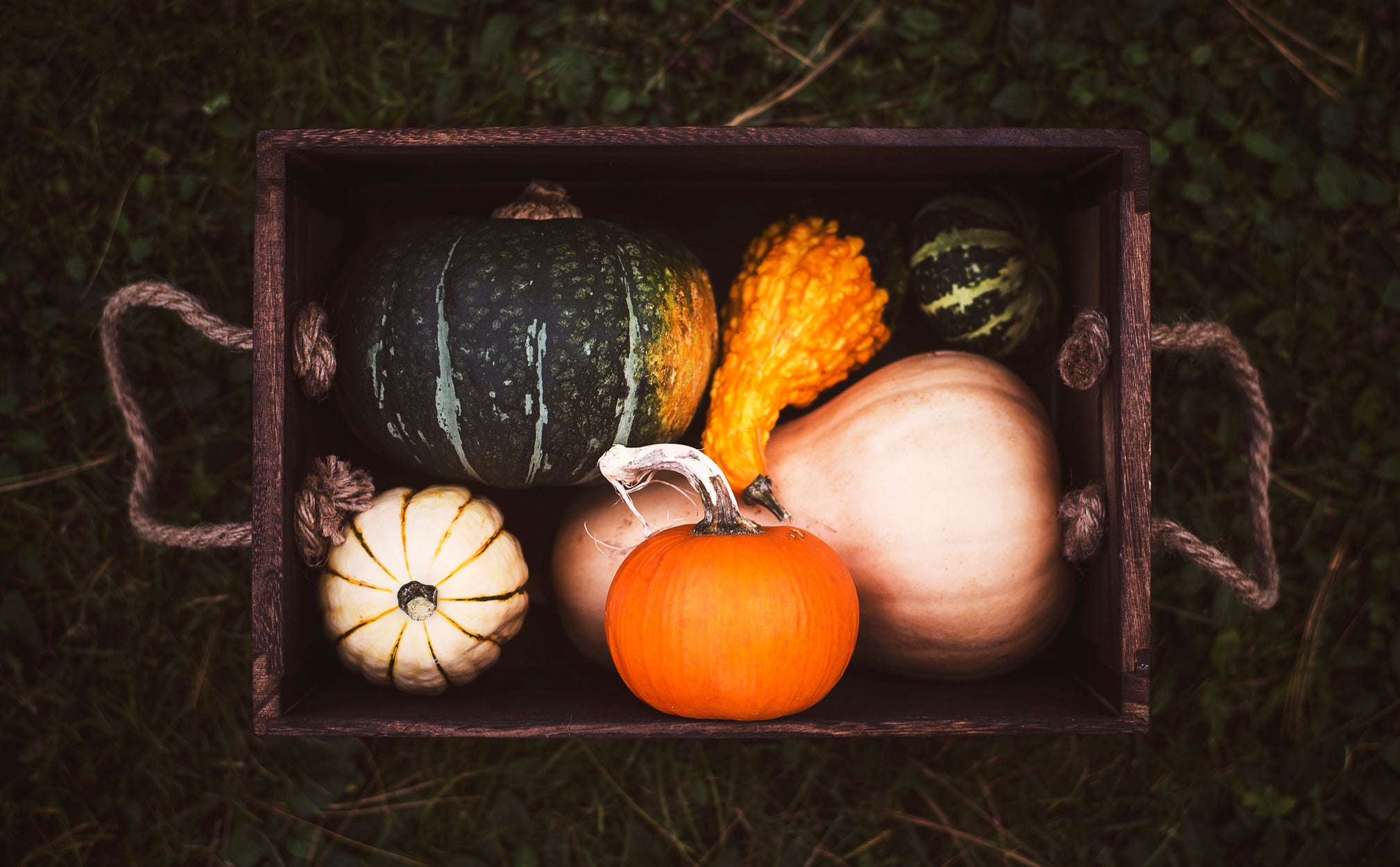 files/fall-vegetable-box.jpg